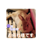うちの長男こむぎくん♡（個別スタンプ：7）