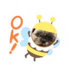 ゆーすーパン（個別スタンプ：6）