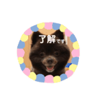 チョコレート色のこたろうくん（個別スタンプ：15）