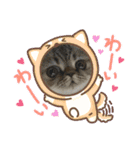 herme's diary 2（個別スタンプ：4）