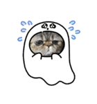 herme's diary 2（個別スタンプ：16）