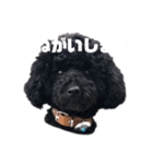 オレオのスタンプだよん（個別スタンプ：2）