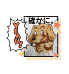ダックスくんDakkusu desuyo（個別スタンプ：3）