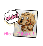 ダックスくんDakkusu desuyo（個別スタンプ：13）