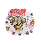 ダックスくんDakkusu desuyo（個別スタンプ：21）
