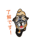 忍者と忍犬 Shinobi（個別スタンプ：22）
