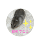 ハムスター NEO（個別スタンプ：10）