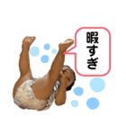 あらってぃの日常（個別スタンプ：5）