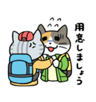 登山する猫達（個別スタンプ：29）