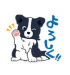 ボーダーコリーのシェリーさん（個別スタンプ：2）