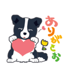 ボーダーコリーのシェリーさん（個別スタンプ：3）