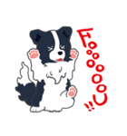 ボーダーコリーのシェリーさん（個別スタンプ：5）