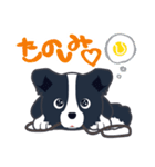 ボーダーコリーのシェリーさん（個別スタンプ：6）