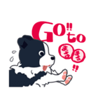 ボーダーコリーのシェリーさん（個別スタンプ：10）