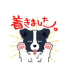 ボーダーコリーのシェリーさん（個別スタンプ：11）