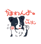 ボーダーコリーのシェリーさん（個別スタンプ：12）