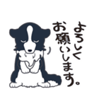 ボーダーコリーのシェリーさん（個別スタンプ：16）