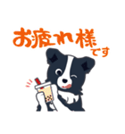 ボーダーコリーのシェリーさん（個別スタンプ：19）