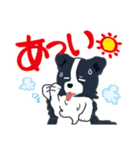 ボーダーコリーのシェリーさん（個別スタンプ：22）