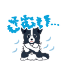 ボーダーコリーのシェリーさん（個別スタンプ：23）