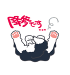 ボーダーコリーのシェリーさん（個別スタンプ：25）
