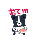 ボーダーコリーのシェリーさん（個別スタンプ：26）