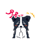 ボーダーコリーのシェリーさん（個別スタンプ：29）