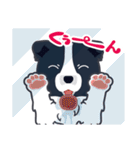 ボーダーコリーのシェリーさん（個別スタンプ：36）