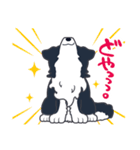 ボーダーコリーのシェリーさん（個別スタンプ：37）