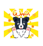 ボーダーコリーのシェリーさん（個別スタンプ：38）