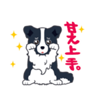 ボーダーコリーのシェリーさん（個別スタンプ：39）