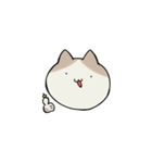 にゃこにゃこランドのにゃこ（個別スタンプ：1）