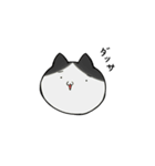 にゃこにゃこランドのにゃこ（個別スタンプ：8）