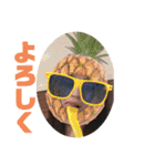 使いやす過ぎ人間味溢れるスタンプ日常編（個別スタンプ：31）