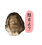 政宗と茶々丸（個別スタンプ：4）