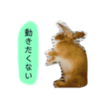 政宗と茶々丸（個別スタンプ：6）