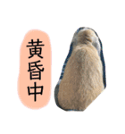 政宗と茶々丸（個別スタンプ：7）