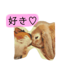 政宗と茶々丸（個別スタンプ：9）