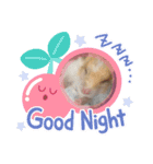 さとまるハムハム（個別スタンプ：4）