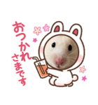 さとまるハムハム（個別スタンプ：7）
