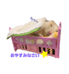 さとまるハムハム（個別スタンプ：11）