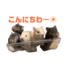 さとまるハムハム（個別スタンプ：12）