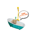 さとまるハムハム（個別スタンプ：16）