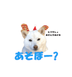 うつくしば日常編2（個別スタンプ：32）