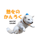 うつくしば日常編2（個別スタンプ：40）