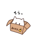 しろねこのおばけ（個別スタンプ：14）