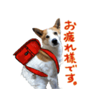 隣のチョロちゃん（個別スタンプ：4）