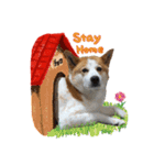 隣のチョロちゃん（個別スタンプ：18）
