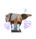 ミニピンハンナチャン②（個別スタンプ：26）