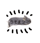 おもちくんスタンプ②（個別スタンプ：14）